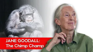 Jane Goodall: The woman who lived with Chimpanzee for over 60 years