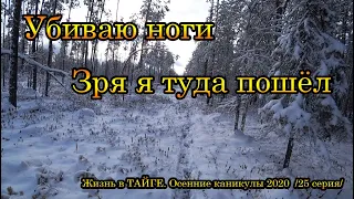 Жизнь в ТАЙГЕ. Осенние каникулы 2020  /25 серия/