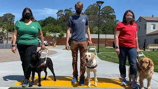 Guide Dogs for the Blind provides independence through the use trained dogs