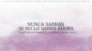 Alexandre Desplat - You'll Never Know Lyric/Español The Shape Of Water OST