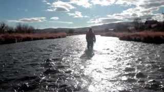 FAMOUS FLY FISHING.  MADISON RIVER, MONTANA.  HD. 5MIN.