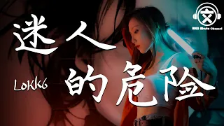 LoKk6 - 迷人的危险（翻自 dance flow）【動態歌詞】『为什麽最迷人的最危险，为什麽爱会让人变残缺』