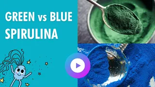 💙 Blue Spirulina Vs Green Spirulina 💚