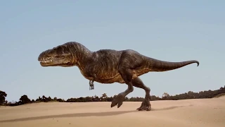 Tarbosaurus vs Tarchia - Тарбозавр против Тархии [RUS]