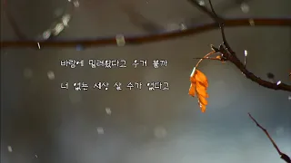 장윤정  -  너 떠난후에