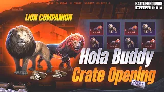 Hola Buddy Crate Opening | New Hola Buddy Crate Opening | Lion Buddy Crate Opening