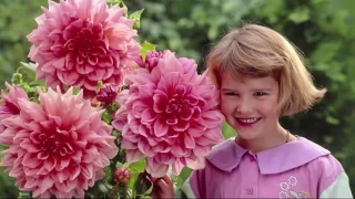 Roberta's 4-piece New Generation Over The Top Dahlia on QVC