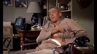 Rear Window (1954) [Itching]