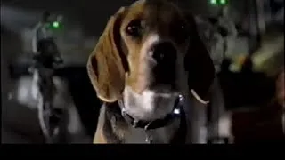 Cats & Dogs (2001) Trailer (VHS Capture)