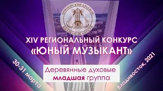 Деревянные духовые Младшая группа