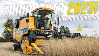 ✓Żyto pod kosę✓Czyli Rozpoczęcie Żniw 2023✓NewHolland w akcji?!✓AgroSzymonTeam✓