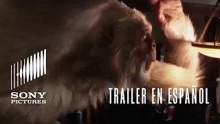 ESCALOFRÍOS | Trailer oficial en español (HD)