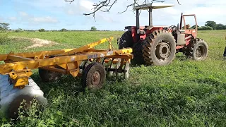 Trator Massey Ferguson 290 cortando terra no sitio guaribas