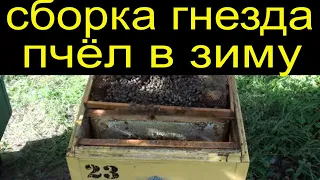Пчеловодство. Сборка гнезда пчел на зиму простой способ