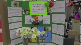 Science Fair Poster Boards