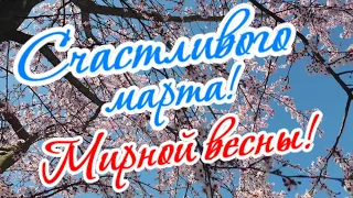 Счастливого марта! Желаю марта без войны, и в небе доброй тишины!