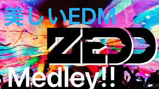 【EDM】ZEDD Drops Only Medley | 22 songs Best Mix Collection !!