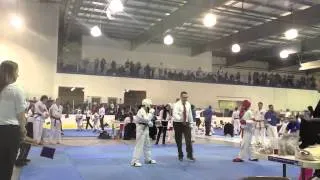 AAU Taekwondo 032914