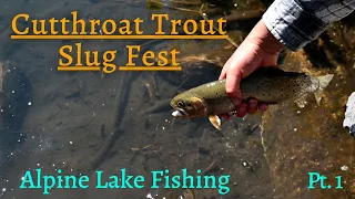 Cutthroat Slug Fest | Idaho's High Alpine Lakes Deliver!