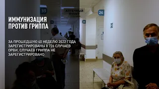 Иммунизация против гриппа