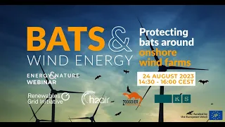 Bats & Wind Energy: Protecting bats around onshore wind infrastructure