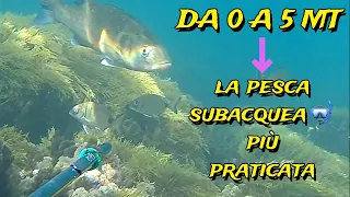 From 0 to 5 meters (Fishing in the shallows) with air rifle-IN MEMORY OF A FRIEND❤️ Spearfishing