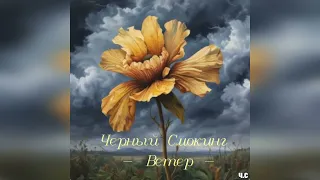 Черный Смокинг - Ветер.