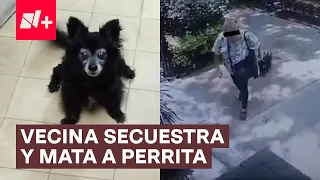 Vecina secuestra y mata a Moni, perrita de una familia - N+