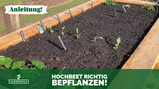 Hochbeet richtig bepflanzen im Frühling 🧑🏽‍🌾 Tipps & Tricks | Welche Pflanzen begünstigen sich?