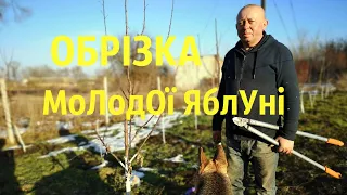 ОБРІЗКА |  МоЛодОї ЯблУні