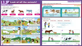 Family And Friends 2  Unit 13 Look at all the animals! American   English