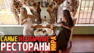 Топ 10 Самых Необычных Ресторанов в Мире | Самые Лучшие Рестораны