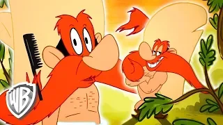 Looney Tunes in italiano | Yosemite Sam canta 'Moostache' | WB Kids