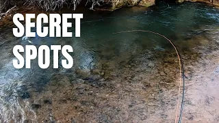 The Best Fishing Spots in Utah (And How to Find Them)