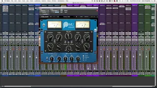 Pulsar Mu compressor on bass.