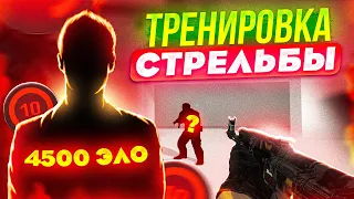 ИДЕАЛЬНАЯ ТРЕНИРОВКА СТРЕЛЬБЫ В КСГО? (2023)