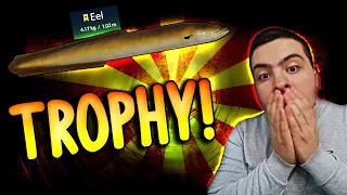 TROPHY EEL MI JE POJEO ZABU!? | OLD BURG EEL SPOT | Russian Fishing 4