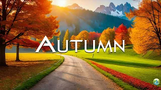 Enchanting autumn forest with beautiful piano music🍁Autumn atmosphere & autumn foliage
