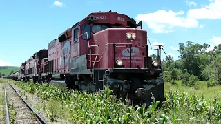 Trem da ALL com trio de SD40 arrancando em Angelo Lopes