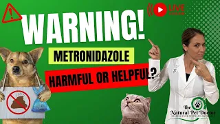 Metronidazole: Is it truly helping your dog's diarrhea or harming your dog's gut health?