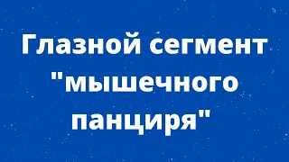 Глазной сегмент "мышечного панциря"