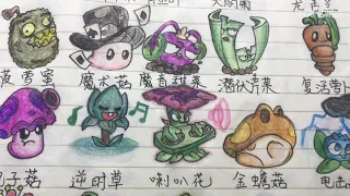 A chinese guy drawn all the plants in Plants Vs Zombies