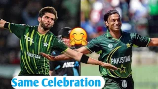 Shaheen Afridi celebrated like Shoaib Akhtar ! Shaheen Afridi and Shoaib Akhtar ! afridi bowling .