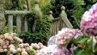 Jane Birkin- Dépression au dessus du jardin