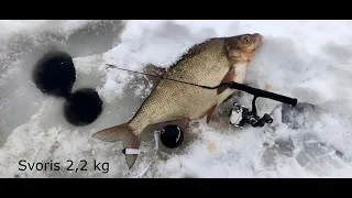 Karšių žvejyba Nemune prie Darsūniškio žiemą (2021.02.20)