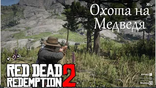 Red Dead Redemption 2 / Gameplay / Охота на медведя