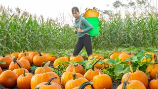 Take Care Of Pumpkin Garden, Clearing Grass | Chasing Thief Stealing Duck Eggs | Farmer Life