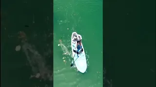 Paddleboard Technique: Try THIS if You Get Tired Too Quickly When Paddleboarding 🏄🏻‍♀️ #shorts
