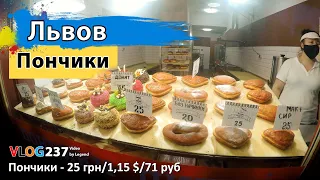 "Польские" пончики во Львове - цены, отзыв | Глазами туриста