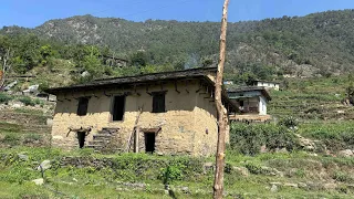 Natural Beautiful Nepali Mountain vilage || hard live in mountain village || TheVillageNepal